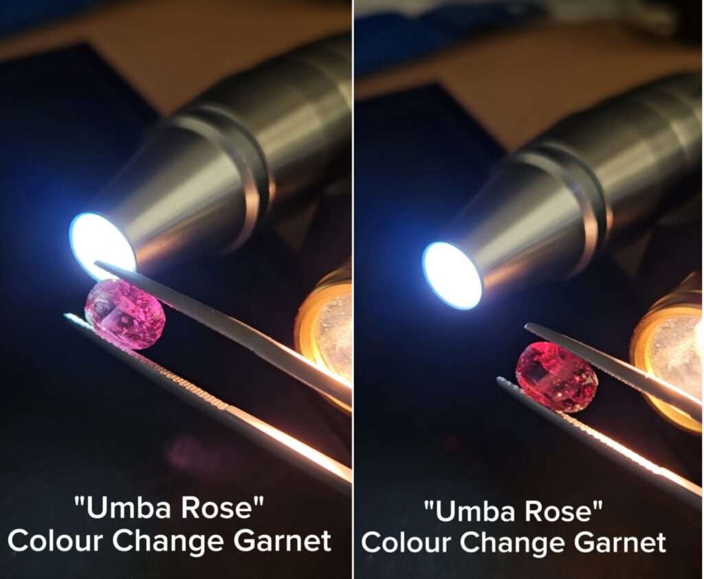 "Umba Rose" Colour Change Garnet - 2.59cts