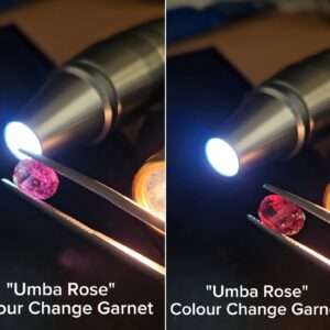 "Umba Rose" Colour Change Garnet - 2.59cts