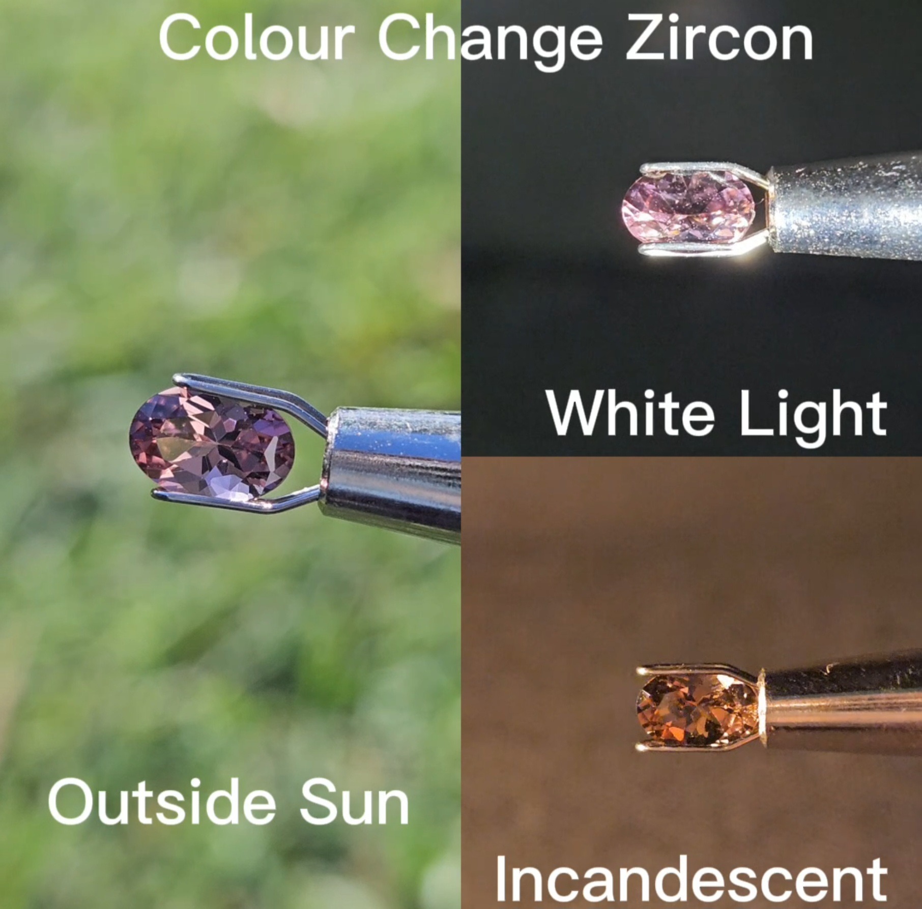 Colour Change Zircon - .80cts - Image 2