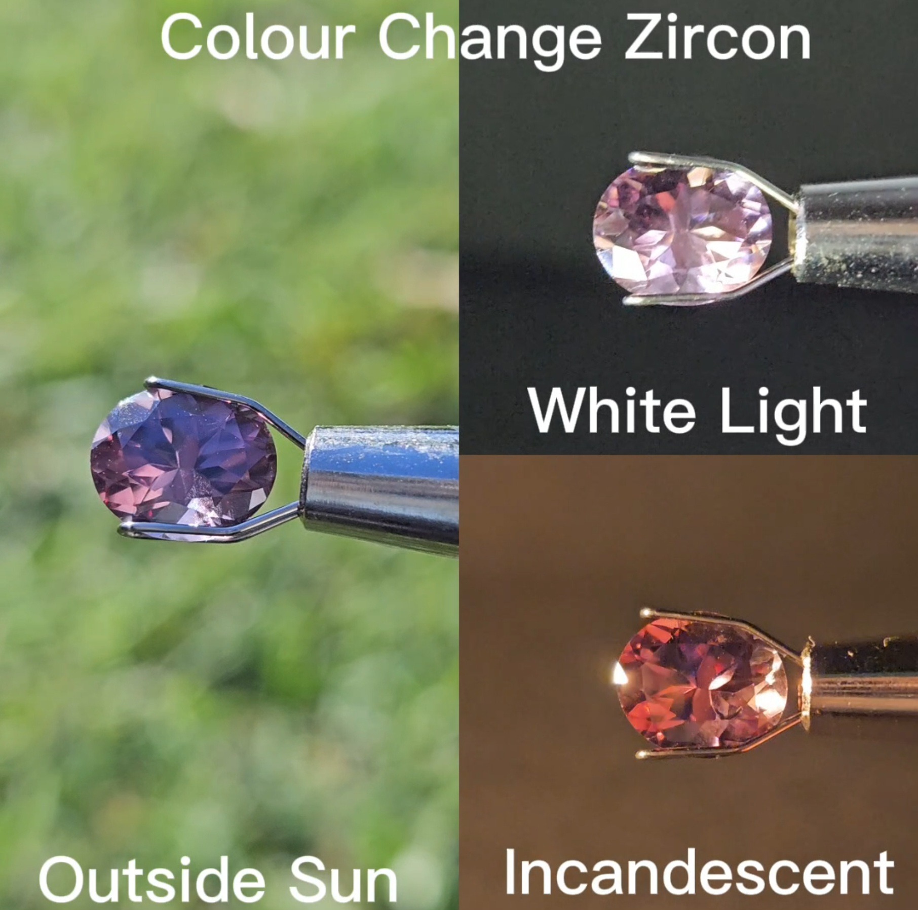 Colour Change Zircon - 2.50cts - Image 2