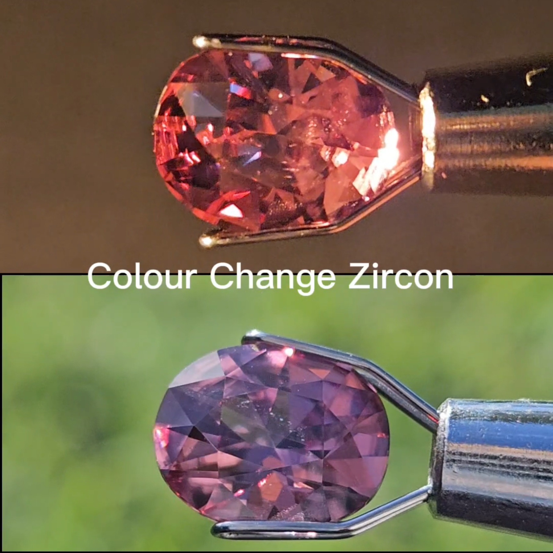 Colour Change Zircon - 2.85cts - Image 2