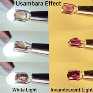 Usambara Effect Colour Change Garnet - 1.12Cts