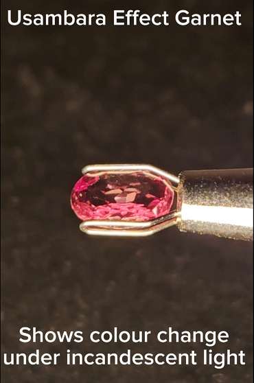 Usambara Effect Colour Change Garnet - 1.01cts - Image 3