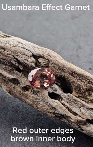 Usambara Effect Colour Change Garnet - 1.01cts - Image 2