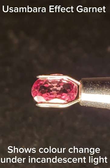 Usambara Effect Colour Change Garnet - 1.15cts - Image 3