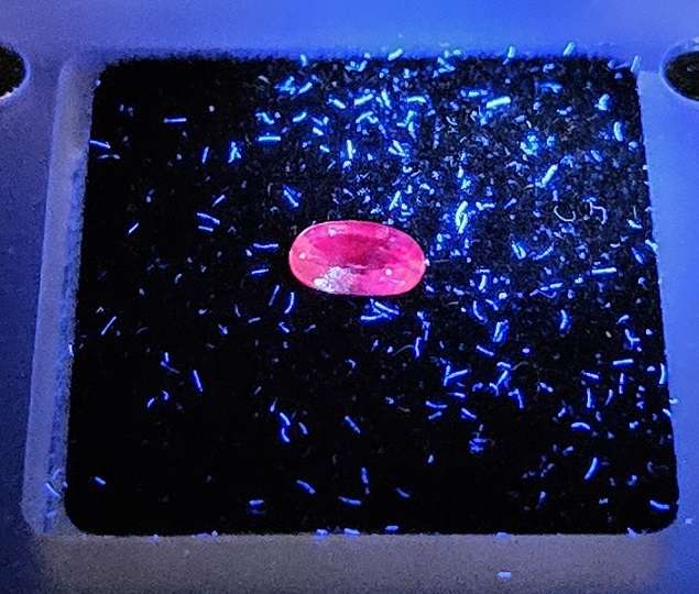 Colour Change UV Reactive Sapphire - .50cts - Image 4